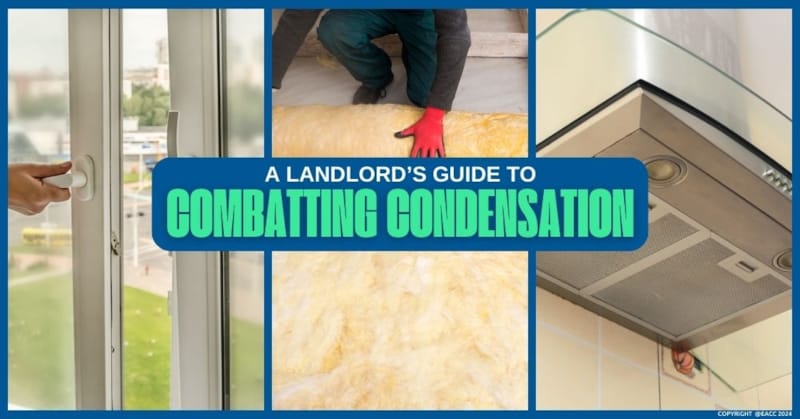 Six Steps to Combat Condensation – A Must-Read for Landlords
